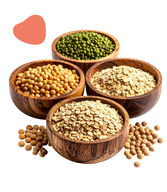 Krishna Kant Ojha Traders