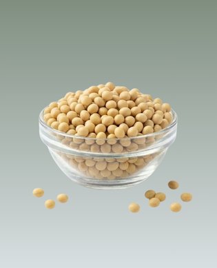 Soyabean