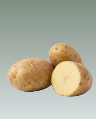 potato