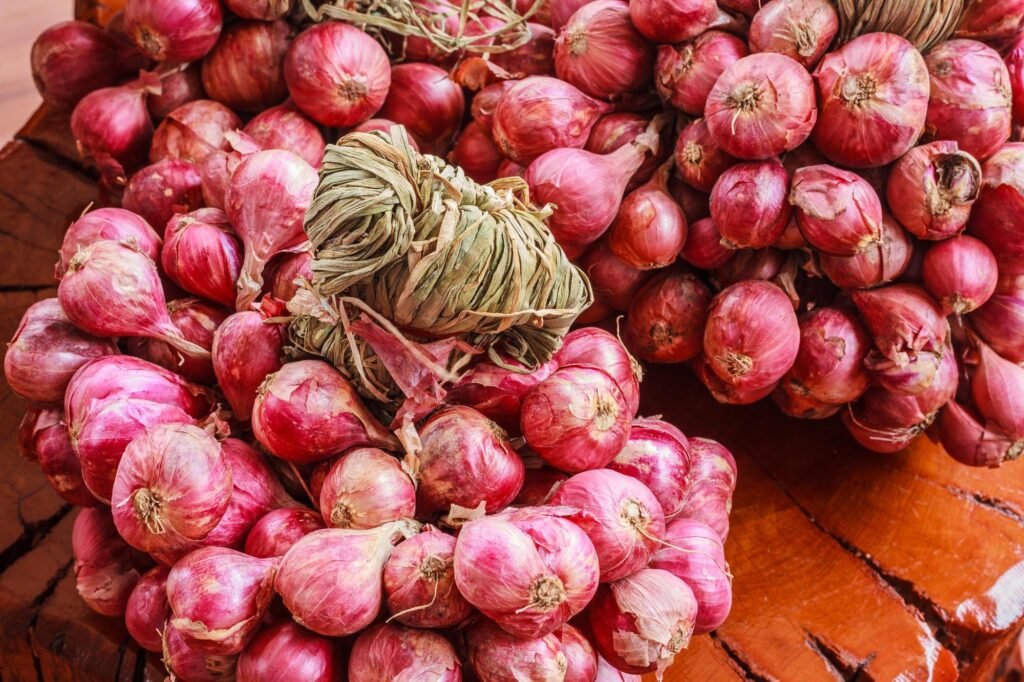Best Onion Exporter from India
